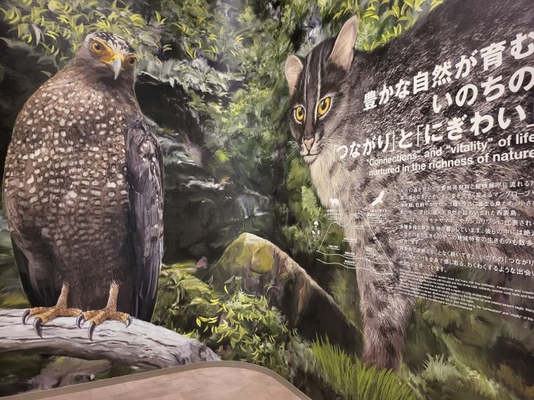 西表野生生物保護センター